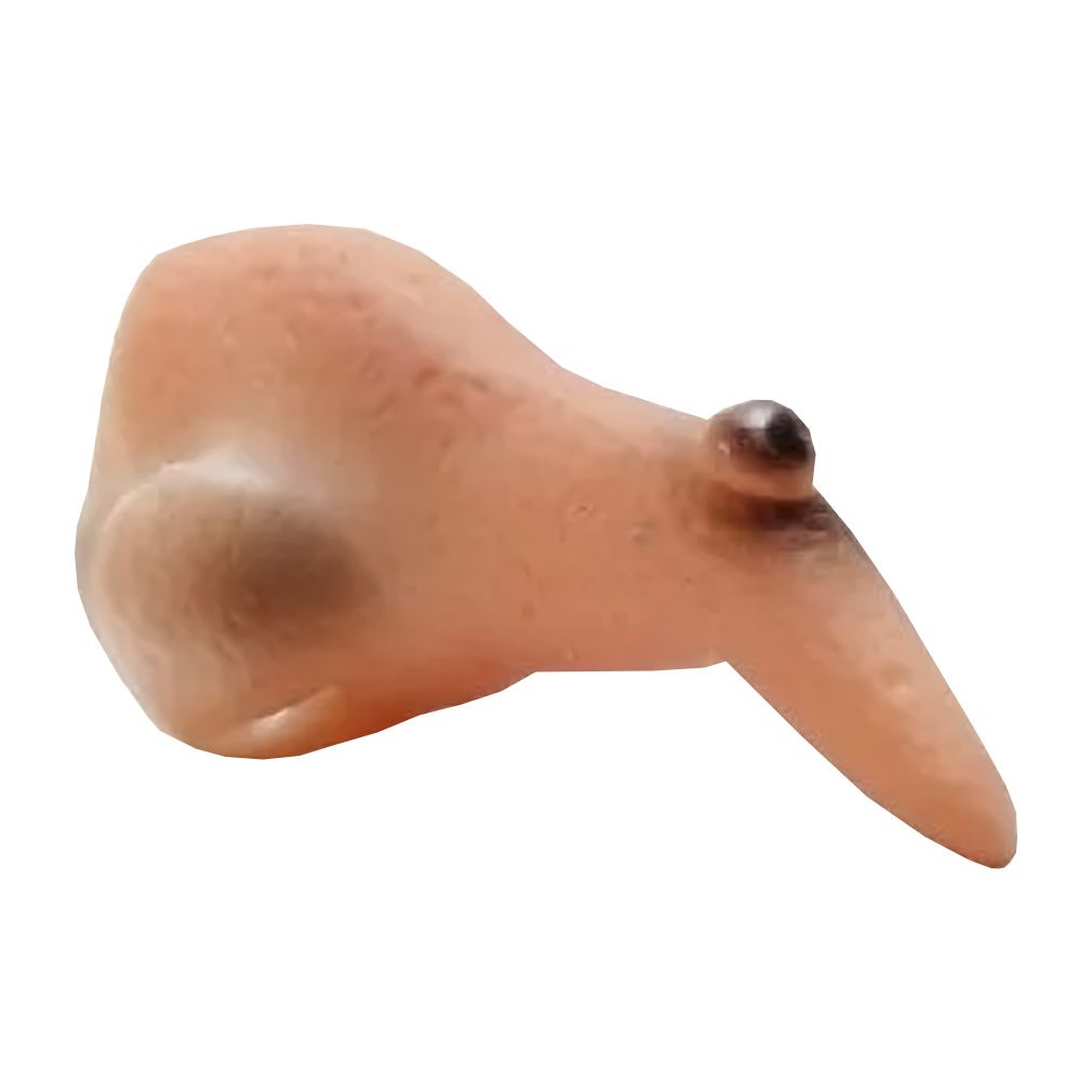 Acessório para Fantasia Nariz de Bruxa