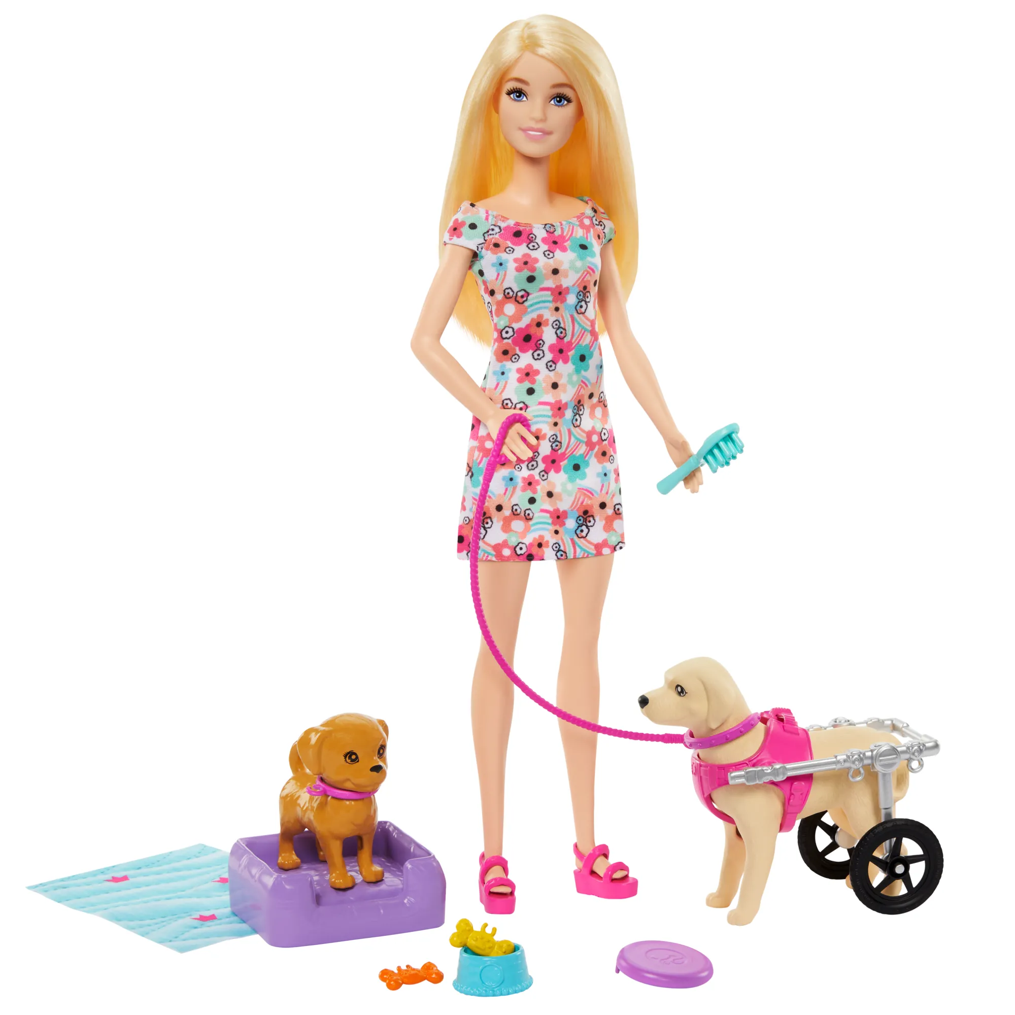 Barbie Poupée, Chiot et Chien Dans Un Fauteuil Roulant, Accessoire