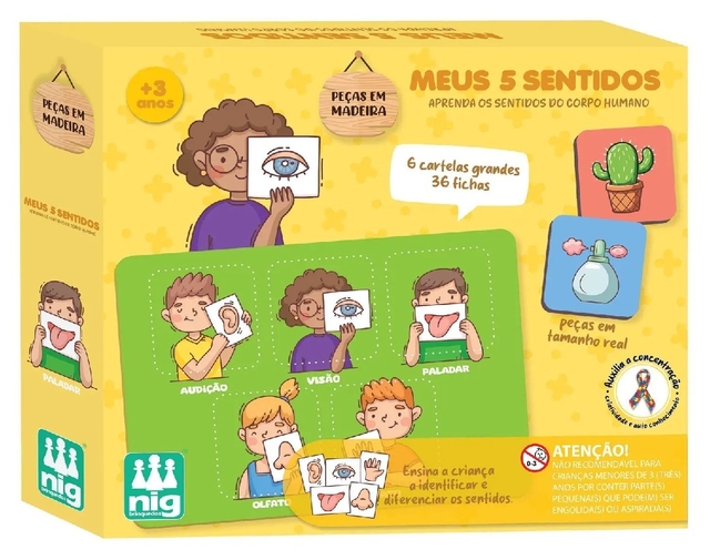 Brinquedo em Madeira Meus 5 Sentidos - NIG