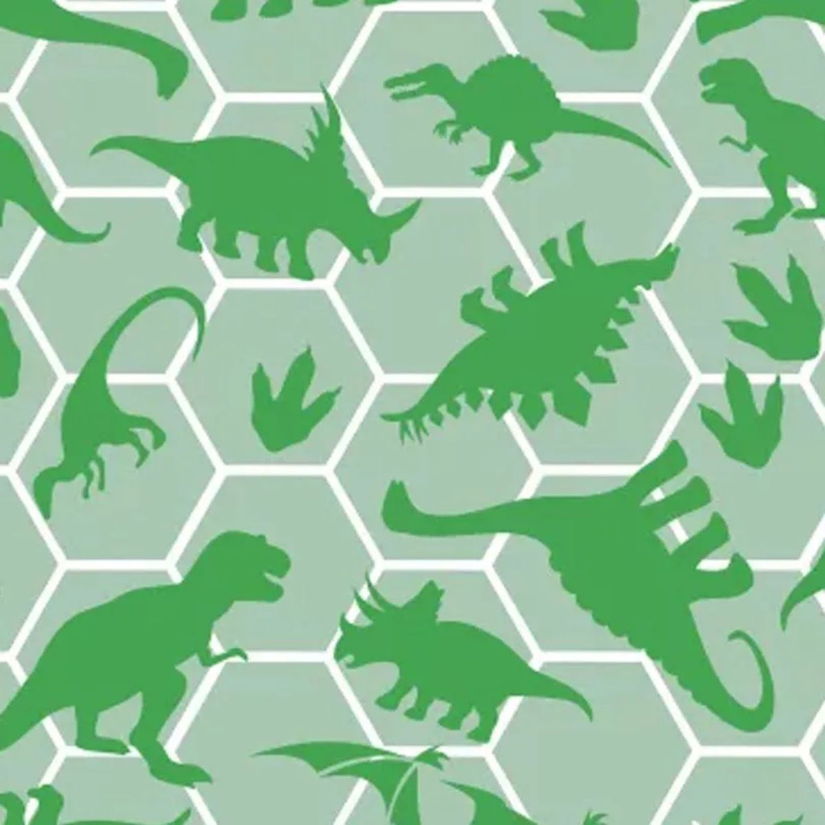 Tnt Estampado Dinossauro - 5 Metros